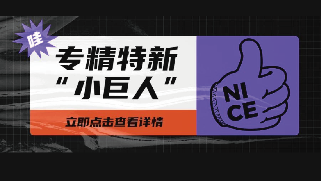 上訊信息入選國(guó)家級專精特新“小巨人”企業